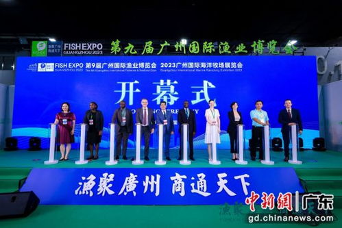 廣州國際漁博會(huì)集中呈現(xiàn)全品類水產(chǎn) 生猛海鮮亮相